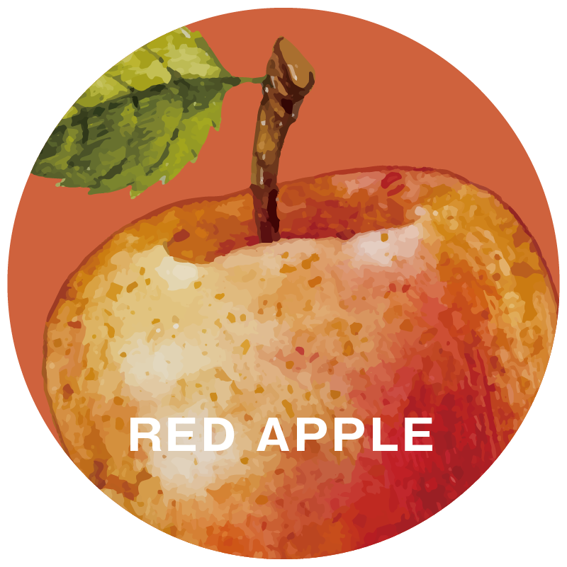 FRU+TAS（赤りんご）ノンニコチンシーシャフレーバー