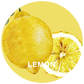 FRU+TAS（レモン）ノンニコチンシーシャフレーバー